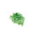 Green selected