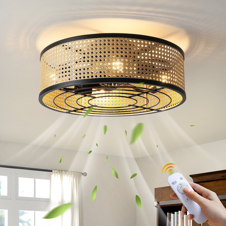 Peddie 20" Coastal Caged Ceiling Fan with Lights Flush Mounted