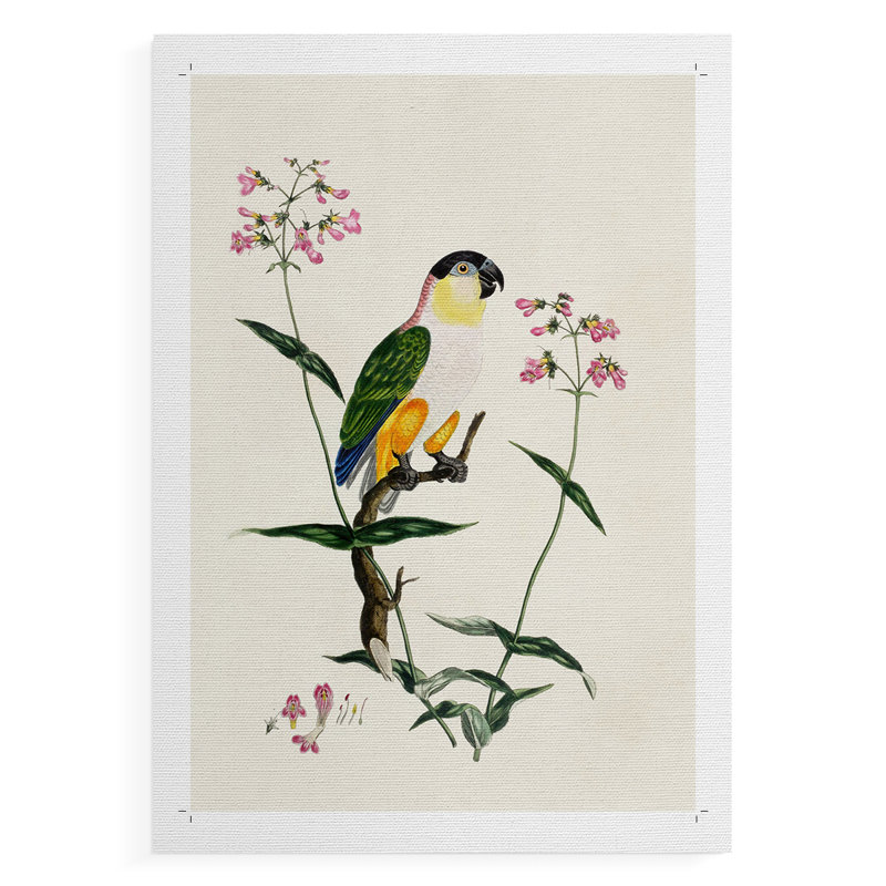 Bird in Habitat IV - Reproduction de toile seulement - NON-CADRE, H 48 po x l 32 po