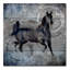 « black mare 2 », reproduction d’impression sur toile tendue-21939890