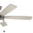 Starkk 60'' Ceiling Fan with LED Lights