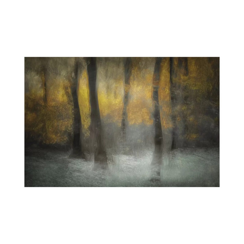 Dancing Trees by Nel Talen - Wrapped Canvas Painting, 20.32cm H x 30.48cm W x 1.905cm D