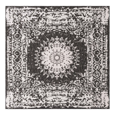 Ornate Lamotte Indoor/Outdoor Area Rug