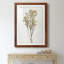 Farmhouse Pressed Flower II - peinture encadrée-1572627895-1572627901