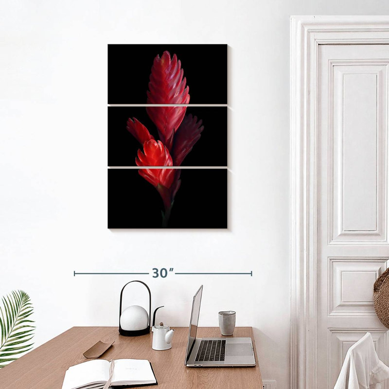 Harnek Bromeliad, 32'' H x 20'' W