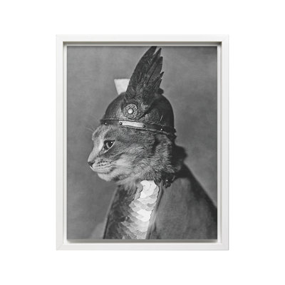 Brunnhilde le chat