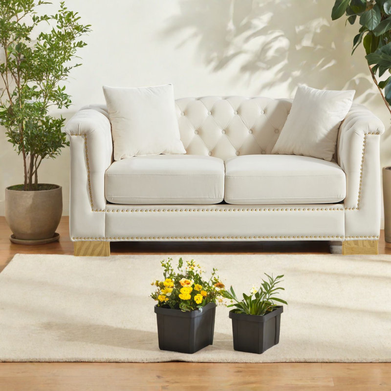 Élégant canapé en velours au design compact Chesterfield, parfait pour la maison