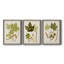Feuilles antiques IV - ensemble de 3 peintures sur toile encadrées-1306045712-1306045715