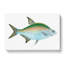 Bream Fish by Edward Donovan - Wrapped Canvas-55361817
