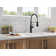 Theodora Pro Commercial Pull Down Sprayer Kitchen Sink Faucet, add ShieldSpray to spray options