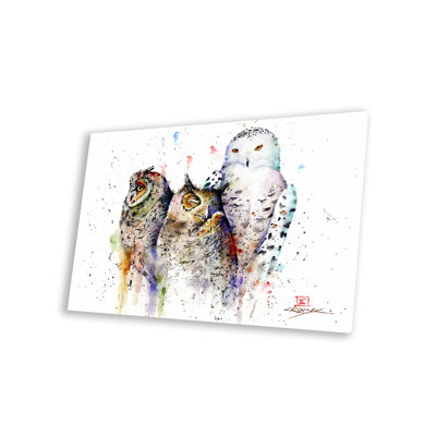 «Owls Don't Sleep» par Dean Crouser - impression non encadrée