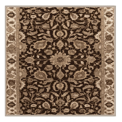 Tapis brun lavable à la machine