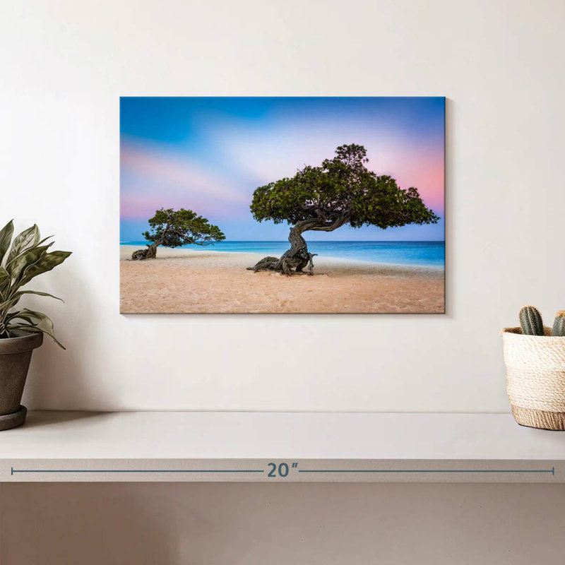 Harnek Divi Divi Trees, 8" H x 12" W