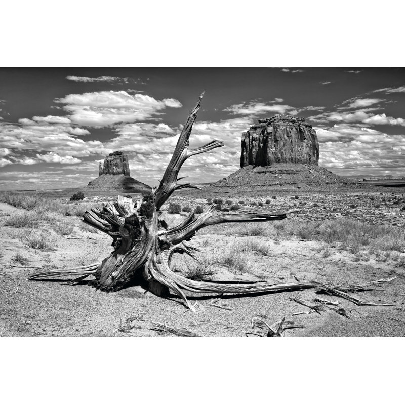 B&W Desert View V by David Drost - Wrapped Canvas Print, 51cm H x 76cm W