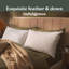 Sleepeezee Natural Feather and Down Pillow