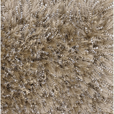 Indoor Rug