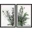 Diptyque de plante magique-927049284