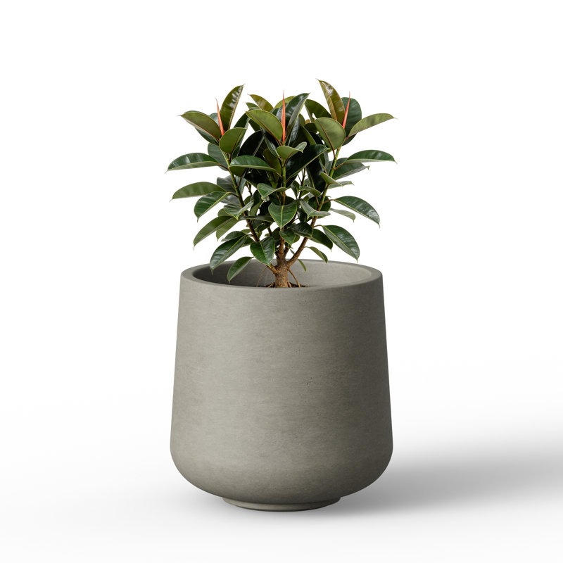 Smooth Modern Concrete Planter, 13 Inch Warm Gray Sturdy Cement Pot for for Patio & Garden Decor