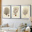 Esper Sea Fans I - reproduction sur mesure encadrée de qualité supérieure - 3 pièces-452960586