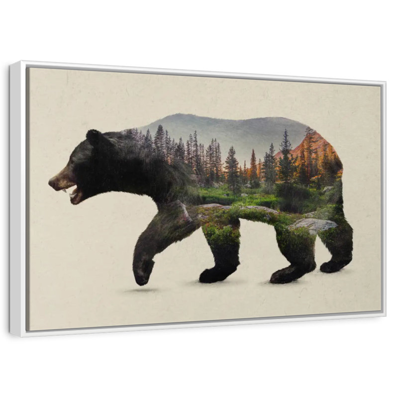 The North American Black Bear, Floating Frame White, 43" X 29"