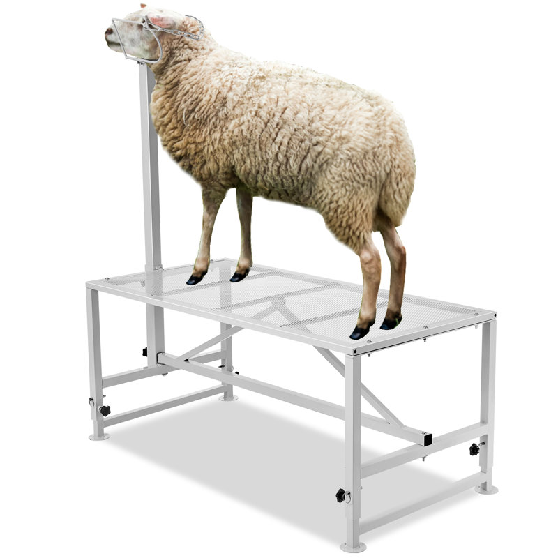 Adjustable Grooming Tub, 162.8cm H x 119.4cm W x 58.4cm D, White