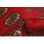 Tapis géométrique rouge / crème / noir en laine noué à la main 2 pi 8 po x 4 pi 1 po Peshawar