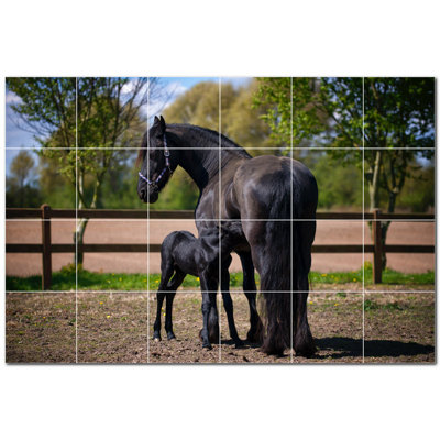 Photo de cheval 4,25 x 4,25