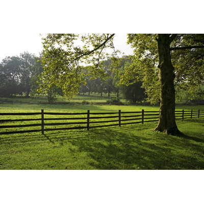 Summer Meadow In Pennsylvania by Luke Richardson - Wrapped Canvas Print