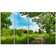 DesignArt Green Forest Road And Blue Sky On Canvas 4 Pieces Print | Wayfair