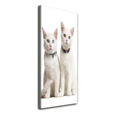 Two White Cats - Wrapped Canvas Print