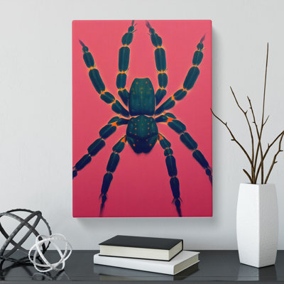 Spider - Wrapped Canvas