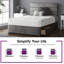 Hayder Upholstered Bed-1123518457-1123518467-1156754436