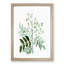 Japanese Pagoda Tree by Pierre-Joseph Redoute - Picture Frame Graphic Art Print-55609924-55609925
