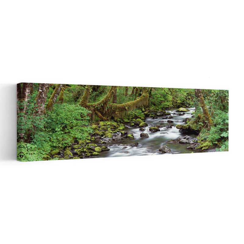 Creek, National Park, Wa Usa, H 36 po x l 12 po