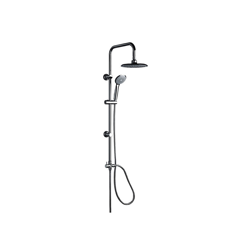 Dual Shower Head
