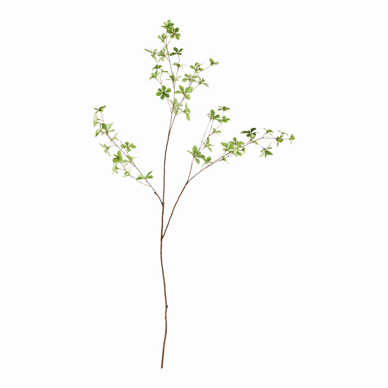 Meadowood Japanese Dodan Branch 50"