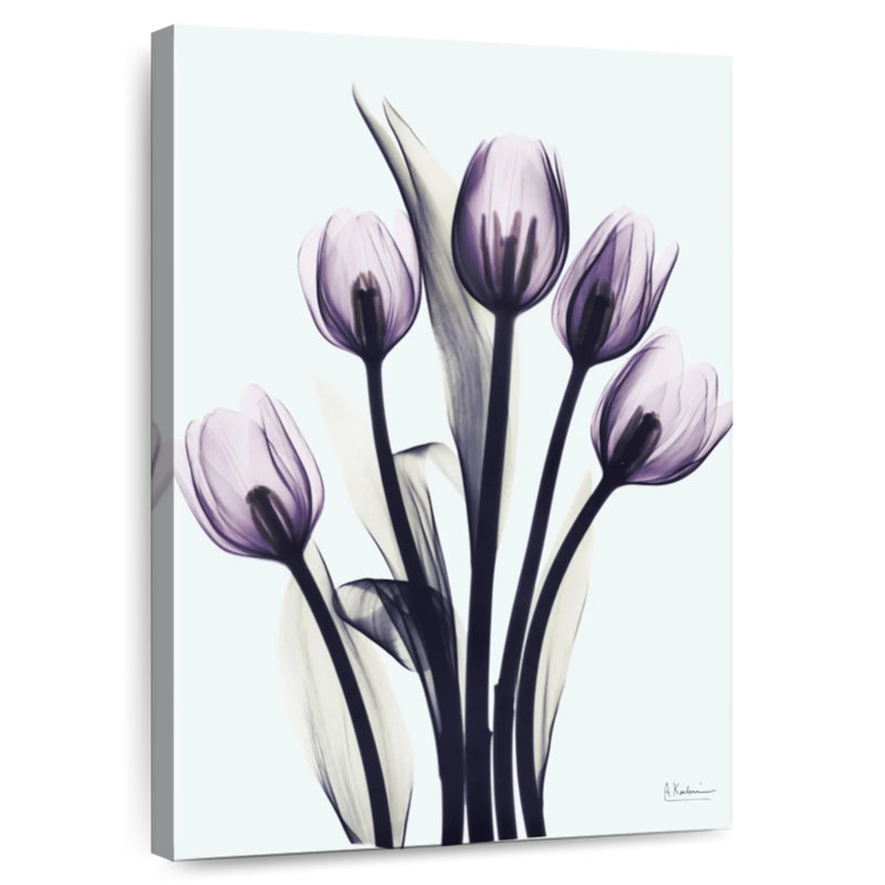 Harnek Essentially Tulips, H 12 po x l 8 po