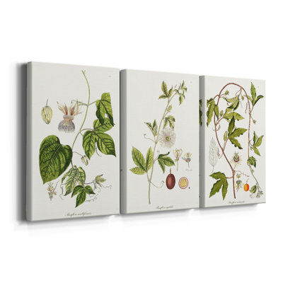 Passion Flower Trio I - Toile tendue avec châssis sur mesure - 3 pièces