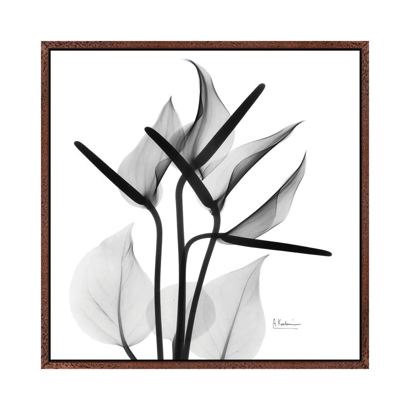 Flamingo Squared by Albert Koetsier - Gallery-Wrapped Canvas Giclée on Canvas, Classic Wood Framed