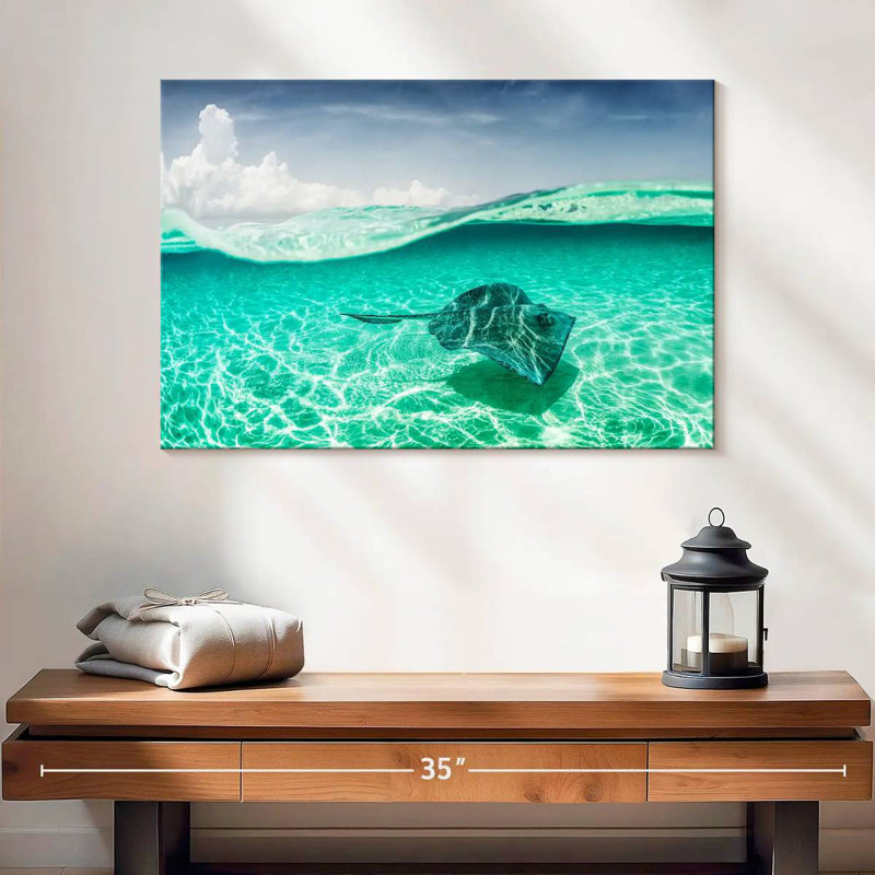 Brama Manta Ray sous l'eau, H 16 po x l 24 po