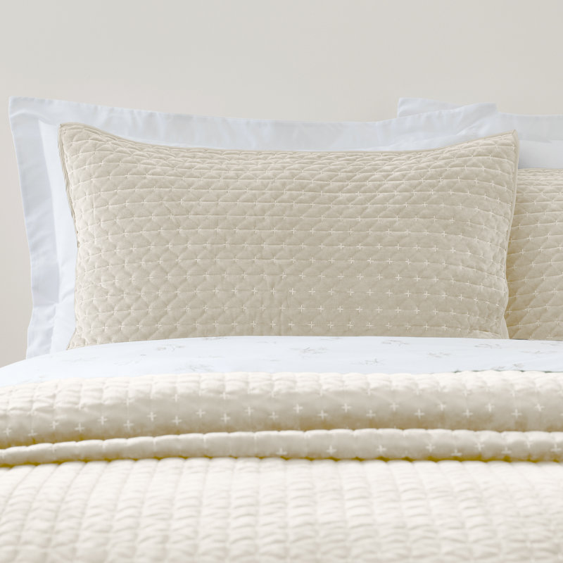 Attica Velvet Embroidered Pillow sham Pair, Natural
