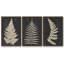 Linen Fern I - ensemble de 3 reproductions sur toile-15951345-15951355