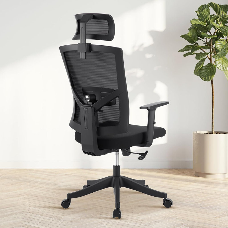 High Back Ergonomic Office Chair, Adjustable Lumbar Support and Headrest, Black