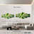 Pure Agave-1779289421