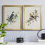«Spring Song Grey Jay», ensemble de 2 reproductions sur toiles encadrées-61455530-61455542