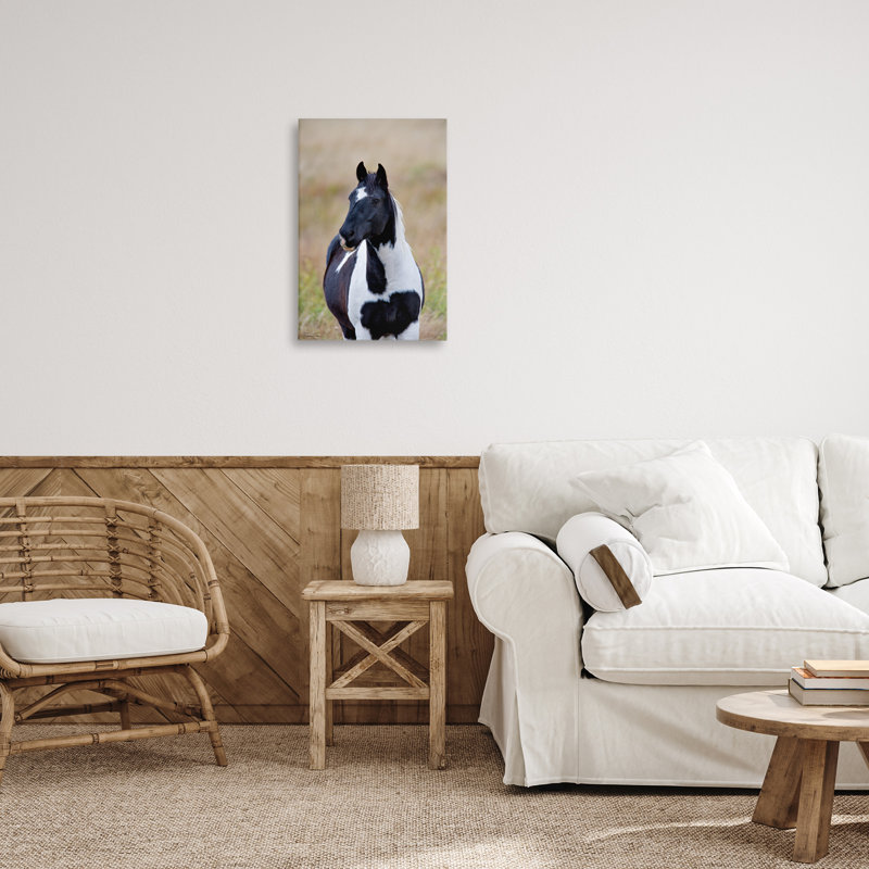 Toile noire et blanche avec poulain par Dennis Frates, H 36 po x l 24 po