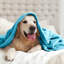 Plush Mink Fleece Blanket – Ultra-Soft, Lightweight Throw For All Seasons-113714324-113714322