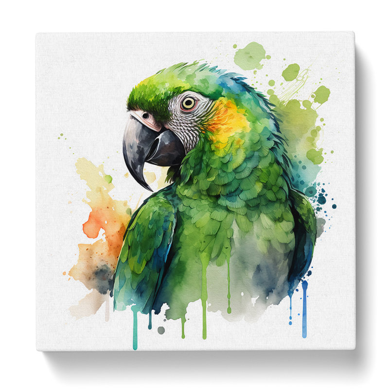 Parrot Watercolour - No Frame Print, 35cm H x 35cm W x 3cm D