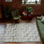 Roosevelt Abstract Area Rug-1491514103