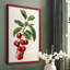 Antique Fruit II, reproduction encadrée - bois massif-829555271-829555270
